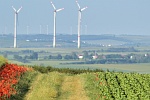 Ratgeber Pflanzenbau und Pflanzenschutz 2021