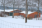 Rinderstall-Neubau