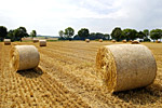 Rundballen