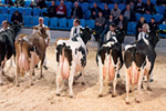RUW-Schau in Hamm. Foto: Christine Massfeller, RUW