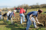 In der Gruppe arbeitet es sich leichter