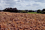 Stoppelfeld gegrubbert