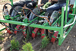 Maschine zum Thuja pflanzen