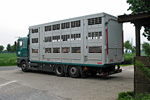 Tiertransporter