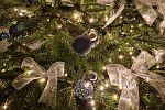 Weihnachtsbaum