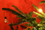 Weihnachtsbaumzweig