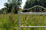 Wiesenbett