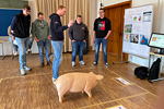 Wolbeck Projektwoche 2026
