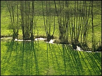Bachlauf im Mittelgebirge