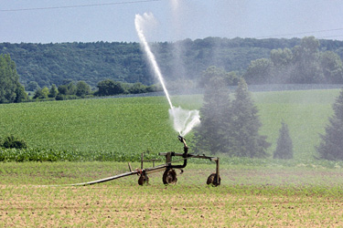 Beregnung in der Landwirtschaft