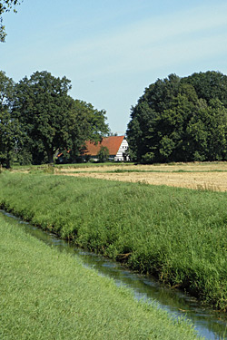 Die Flöthe