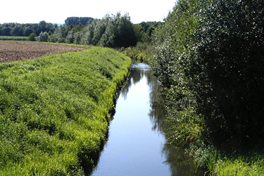 Böschung der Flöthe