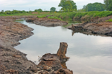 Fluss mit Totholz