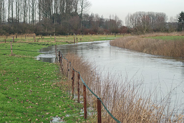 Hochwasser an einem Bach