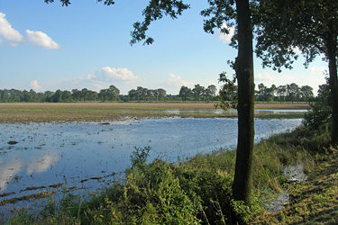 Hochwasser im August