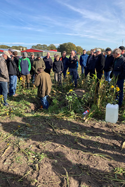 Feldtag zu Planting Green