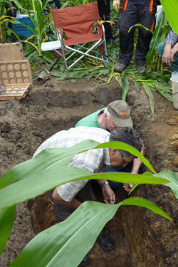 Bodenprofil im Maisfeld, Herr Steffens vom Geologischen Dienst erläutert Modellbetriebsleiter Herrn Rensing sein Bodenprofil