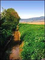 Uferrandstreifen