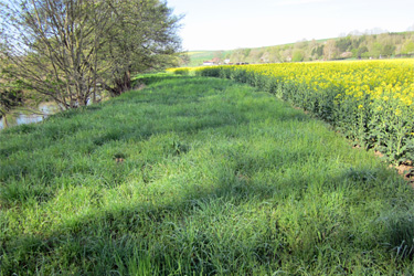 Uferrandstreifen in Ostwestfalen