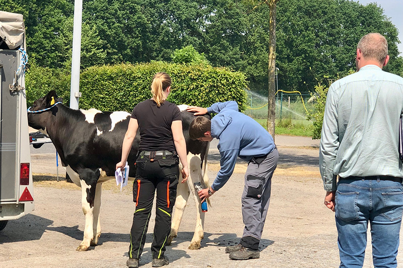 Fachschule für Landwirtschaft Münster-Wolbeck, BAP-Prüfung