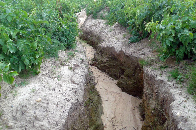 Bodenerosion Durch Wasser Ursachen Bedeutung Und Umgang In Der Praxis Landwirtschaftskammer Nordrhein Westfalen