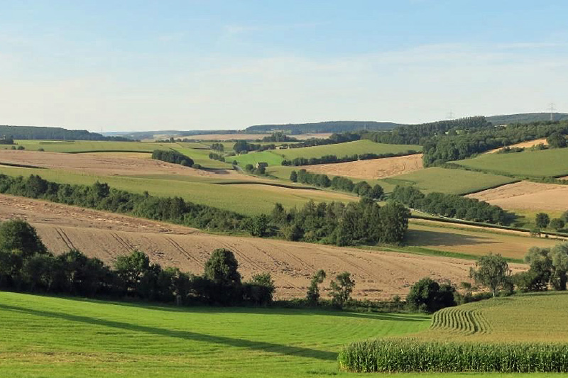 Weiterbildung in der Landwirtschaft