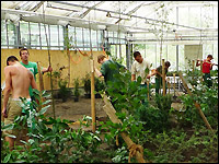 Überbetriebliche Ausbildung Galabau