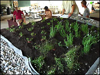 Überbetriebliche Ausbildung Galabau