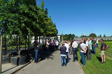 Alleebaumseminar