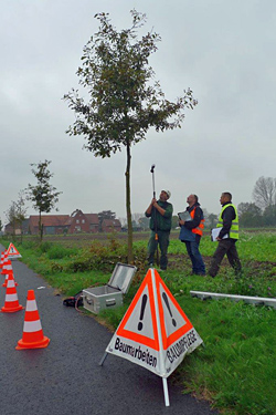 Absperrung bei Baumpflegearbeiten