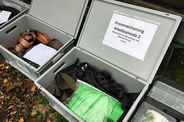 Fachagrarwirt Baumpflege und Baumsanierung