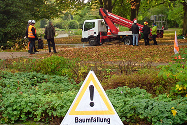 Prüfungen Fachagrarwirt Baumpflege und Baumsanierung