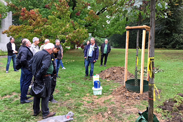 Praktische Demonstration beim Baumsymposium