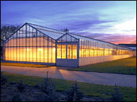 Gewächshaus im Abendlicht