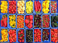 Chilisortiment aus Straelen