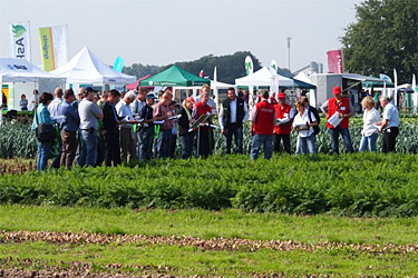 Gemüsebaufeldtag in Köln-Auweiler 2011