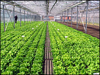 Gartenbauzentrum Köln-Auweiler