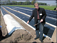 Rainer Hollenbeck zeigt Spargelstangen