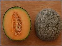 Netzmelone in Straelen