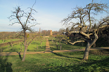 Obstwiese auf dem Gelände der Landesgartenschau Zülpich
