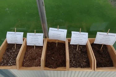 Fotorundgang 11 / 2025 Straelen