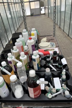 Fotorundgang 01 / 2026 Straelen