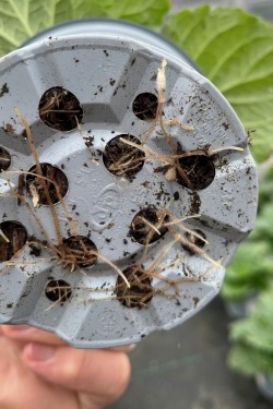 Fotorundgang 01 / 2026 Straelen