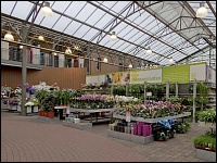 Intratuin Barneveld