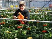 Nicole Hannaleck im Gerbera-Versuch