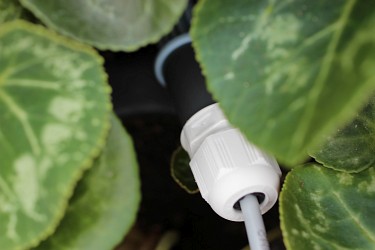 Sensor in Topfpflanze