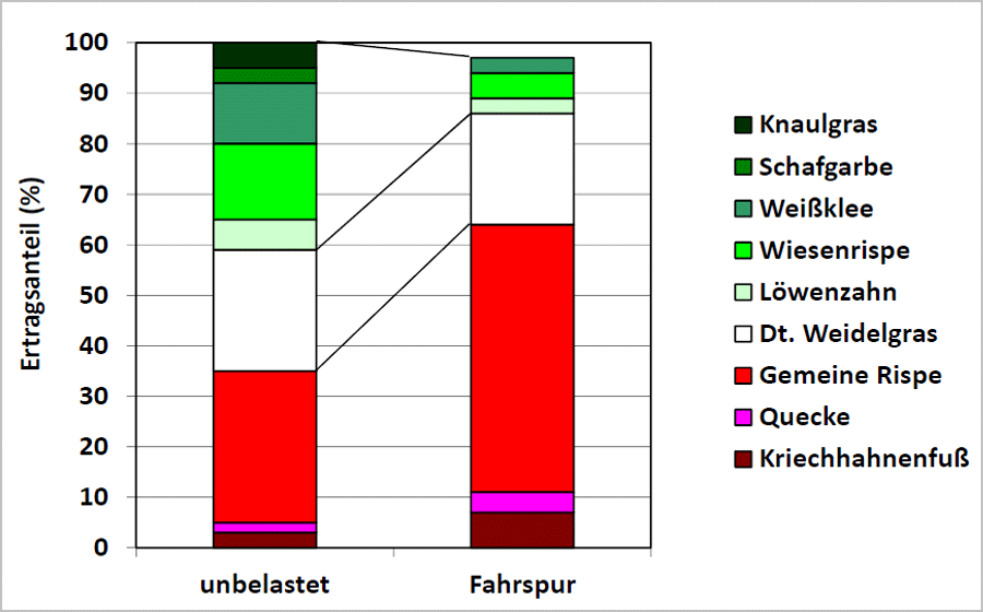 Grassorten in der Fahrspur