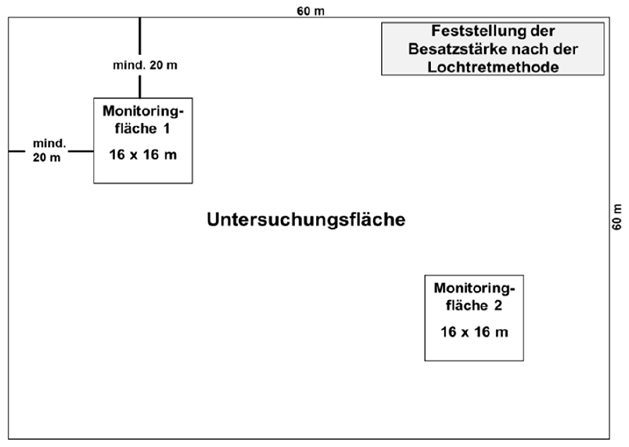 Mäuseloch-Tretmethode