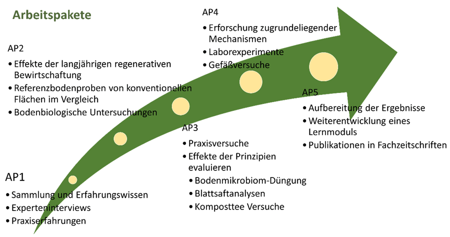 Arbeistpakete im Projekt ReLaBo