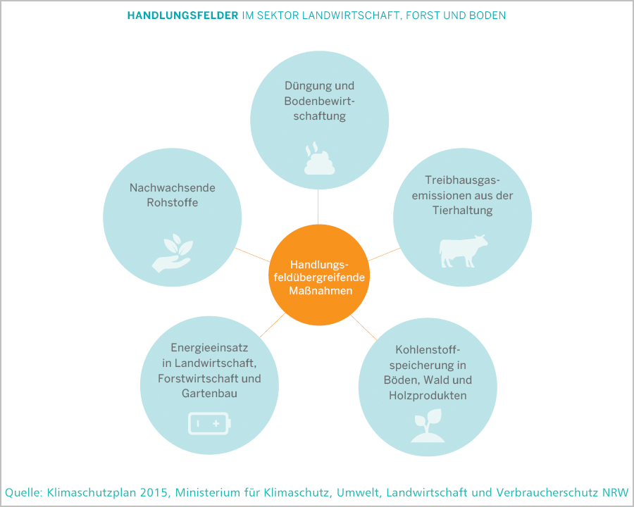 Klimaschutz: Handlungsfelder im Sektor Landwirtschaft, Forst und Boden